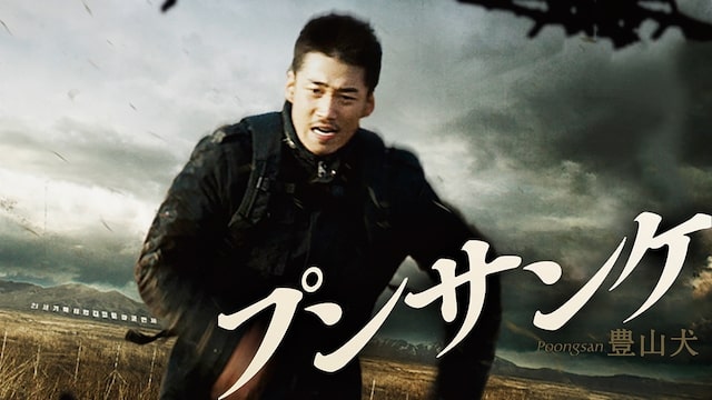 プンサンケ　アイキャッチ